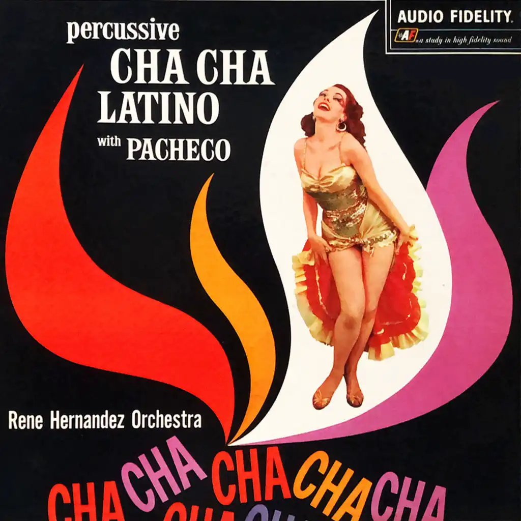 Percussive Cha Cha Latino