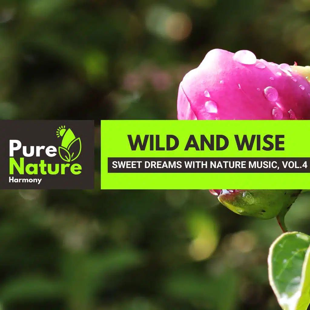 Wild and Wise - Sweet Dreams with Nature Music, Vol.4
