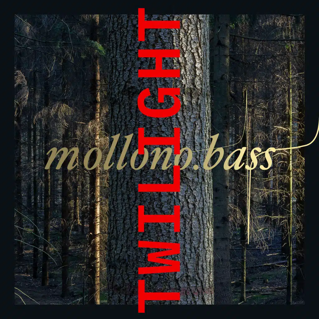 Twilight (Radio Edit)