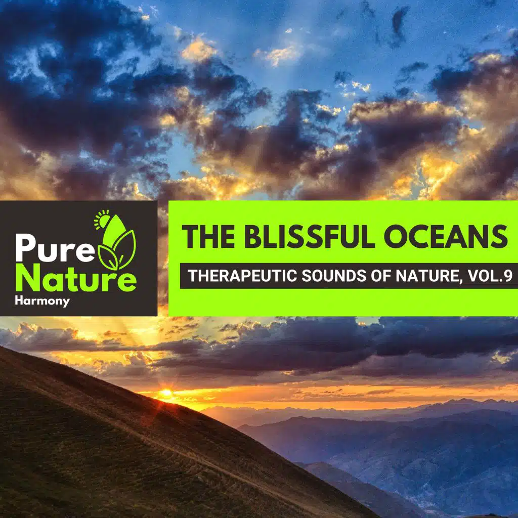 Wings Flapping Birds