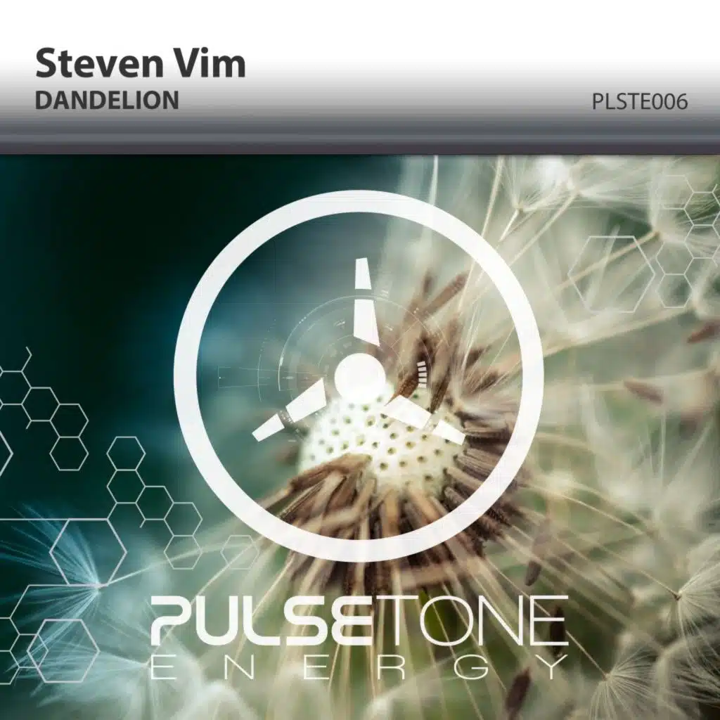 Steven Vim