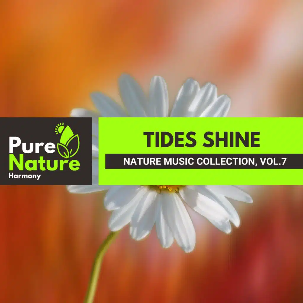 Tides Shine - Nature Music Collection, Vol.7