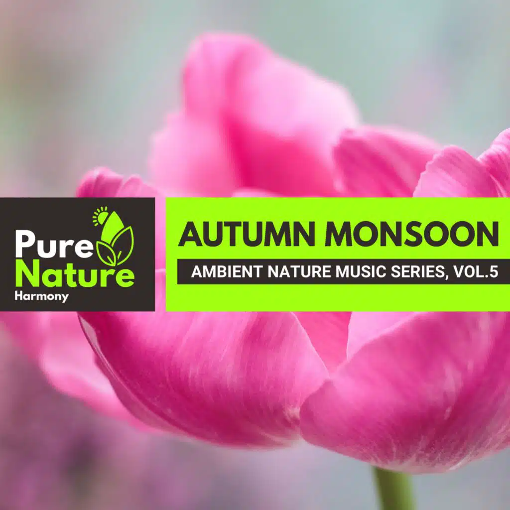 Autumn Monsoon - Ambient Nature Music Series, Vol.5