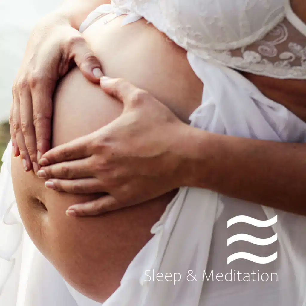 Baby Noise Shusher Sweet Dreams Pacifying Summer Collection