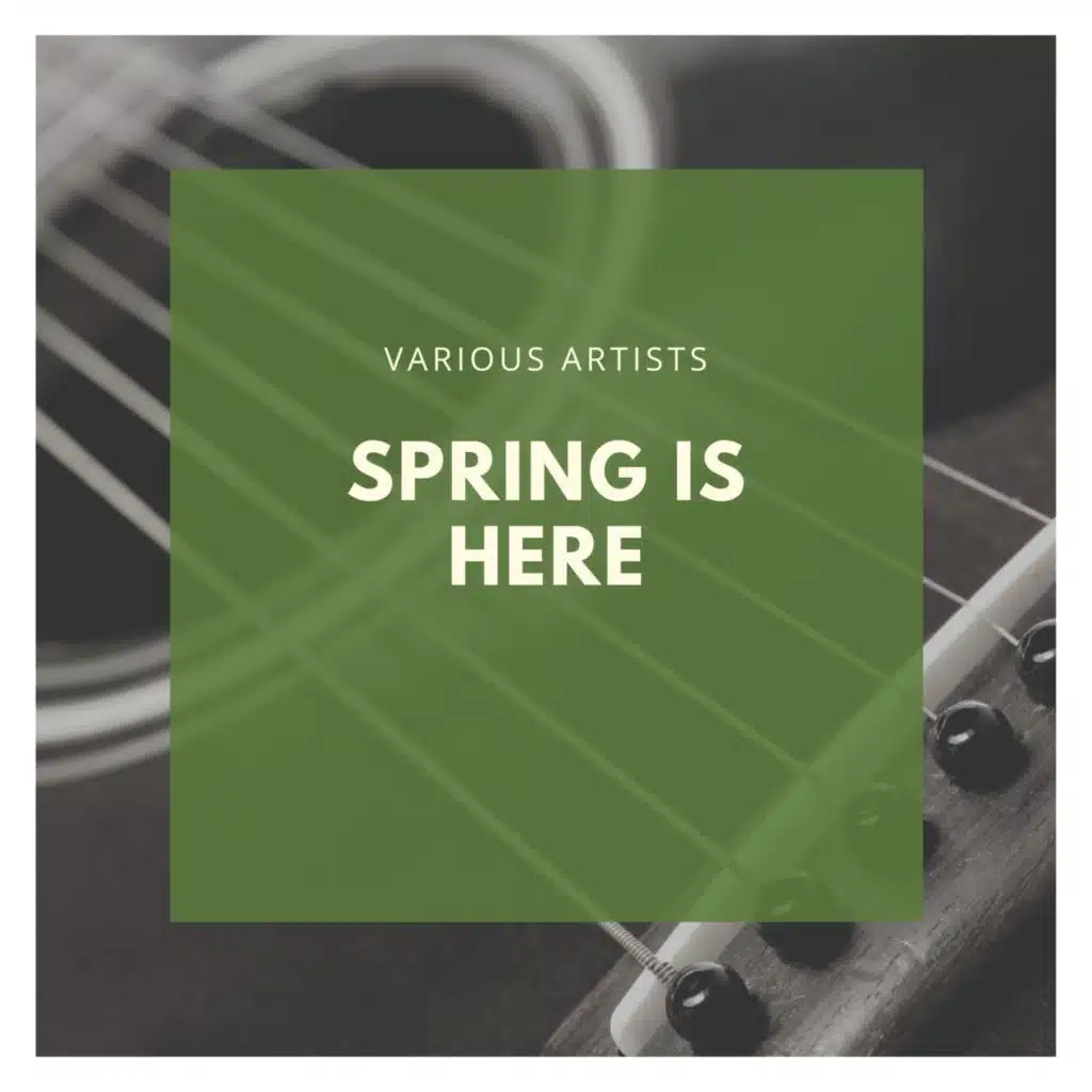 Weißer Winterwald (Winter Wonderland)