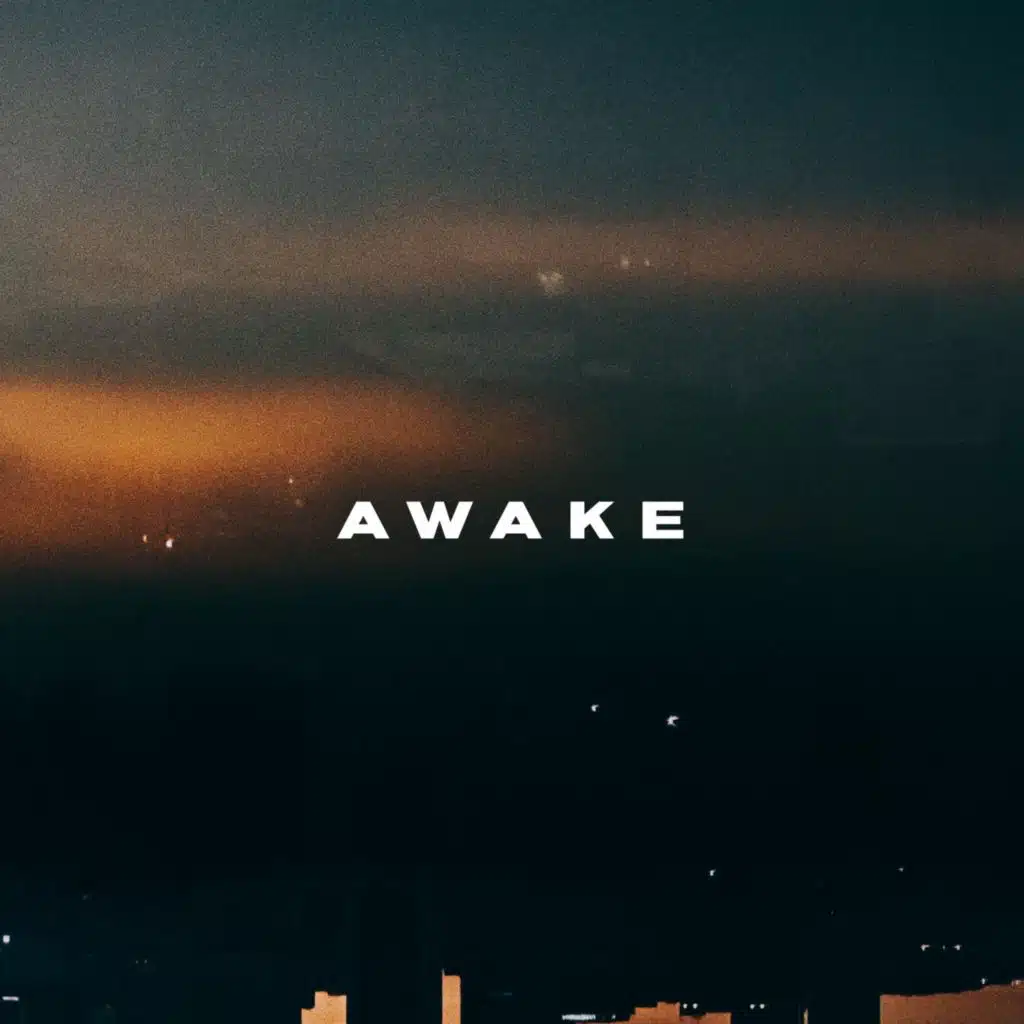 The Awake Project