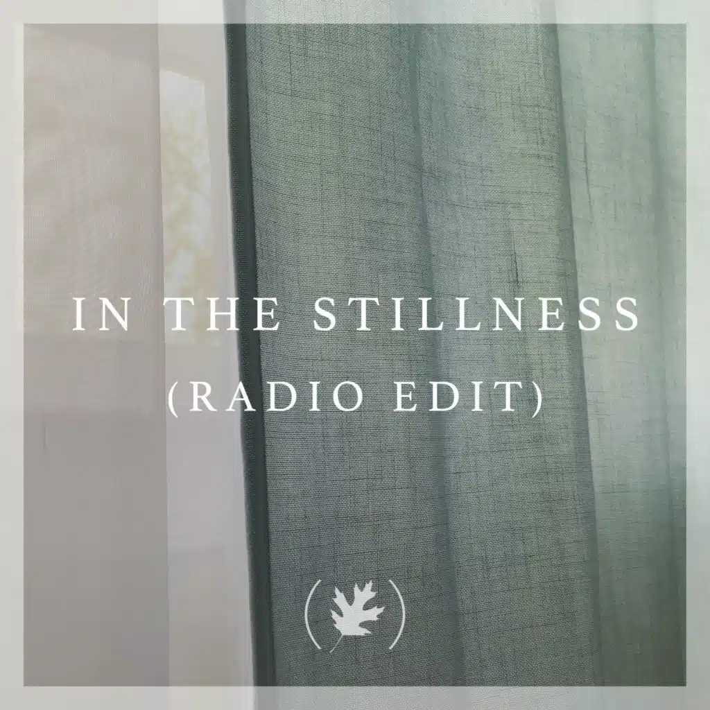 In the Stillness (Radio Edit)