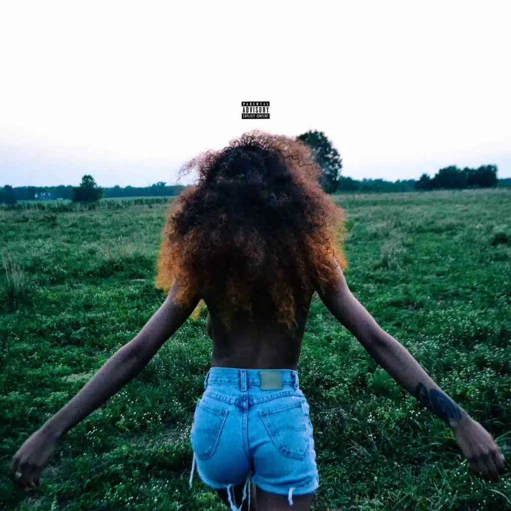 The Pursuit of Happiness