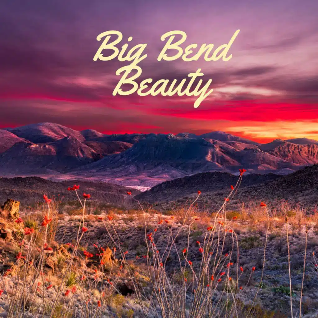 Big Bend Beauty