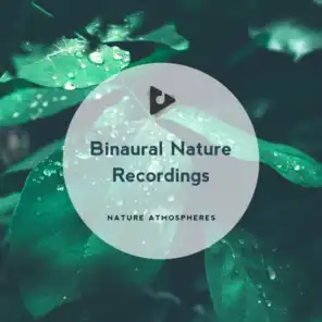 Nature Recordings & Nature Atmospheres