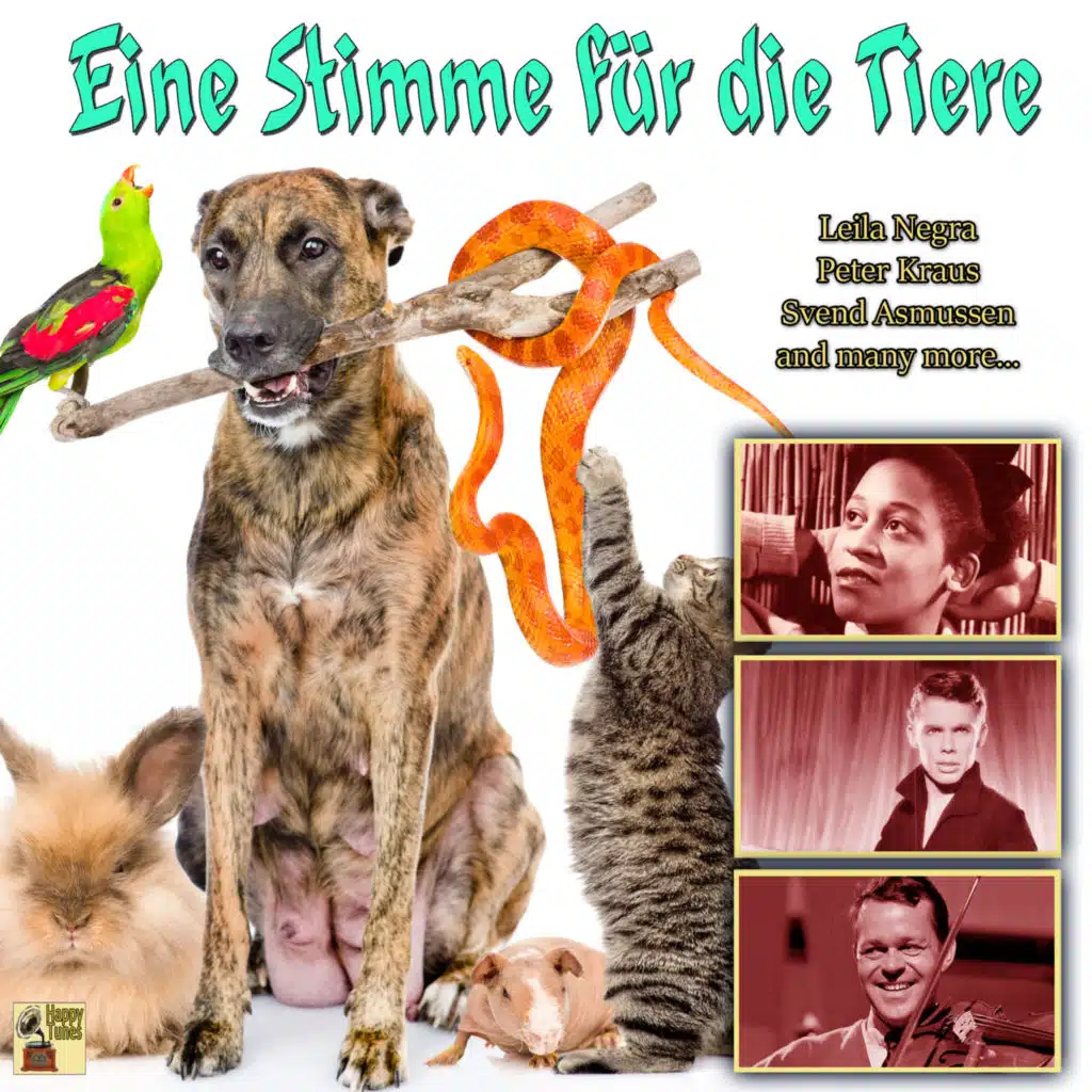 Das Comedian-quartett