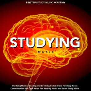 Studying Music - Relaxing and Soothing Guitar Music for Deep Focus Concentration and Calm Music for Reading Music and Exam Study Music