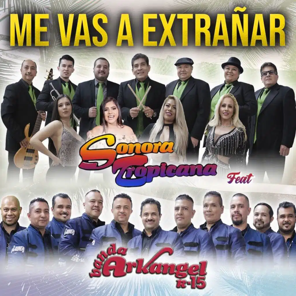 Me Vas A Extrañar (feat. Banda Arkangel R-15)