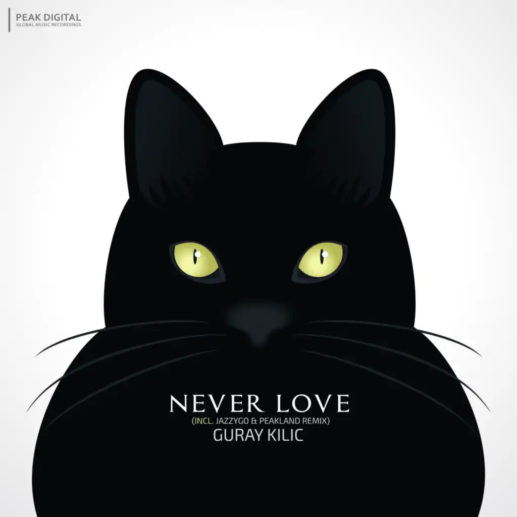 Never Love (JazzyGo Remix)