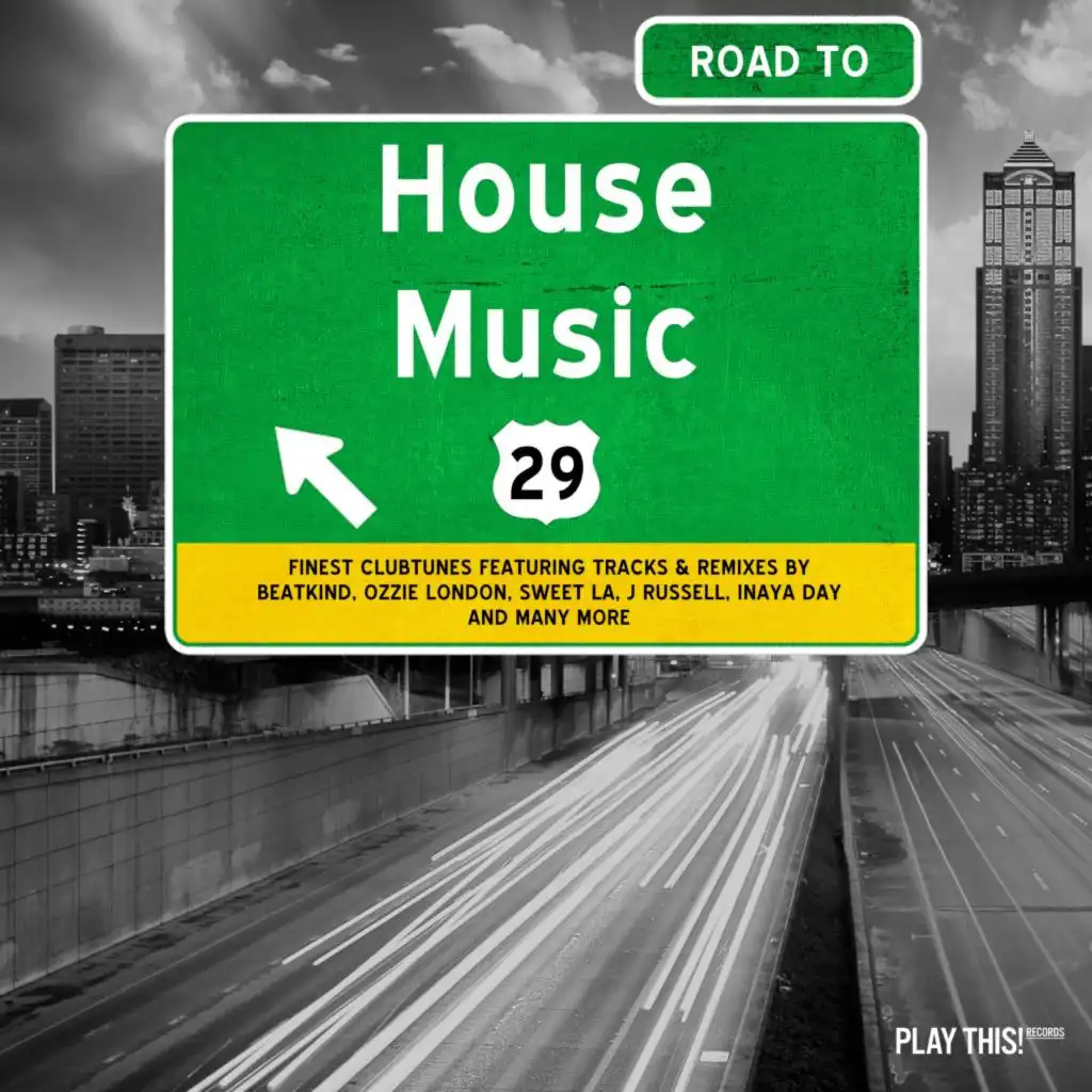 Road to House Music, Vol. 29