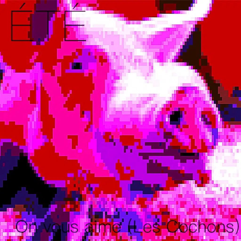 On vous aime (Les cochons)