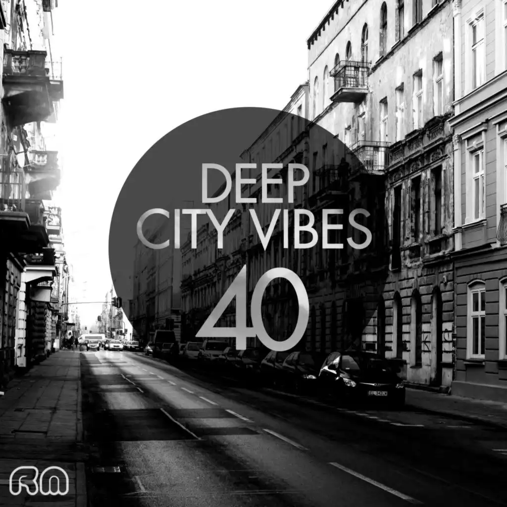 Deep City Vibes, Vol. 40