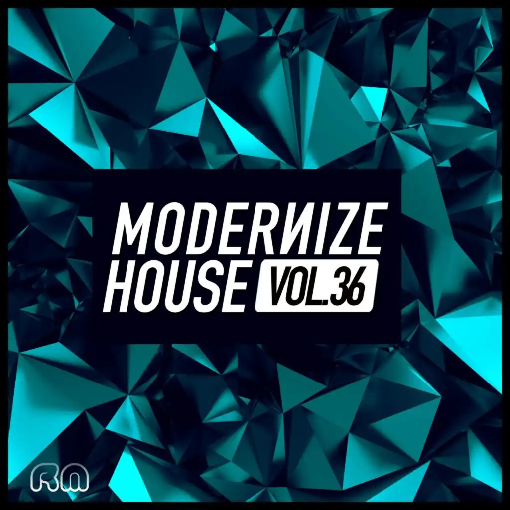 Modernize House, Vol. 36