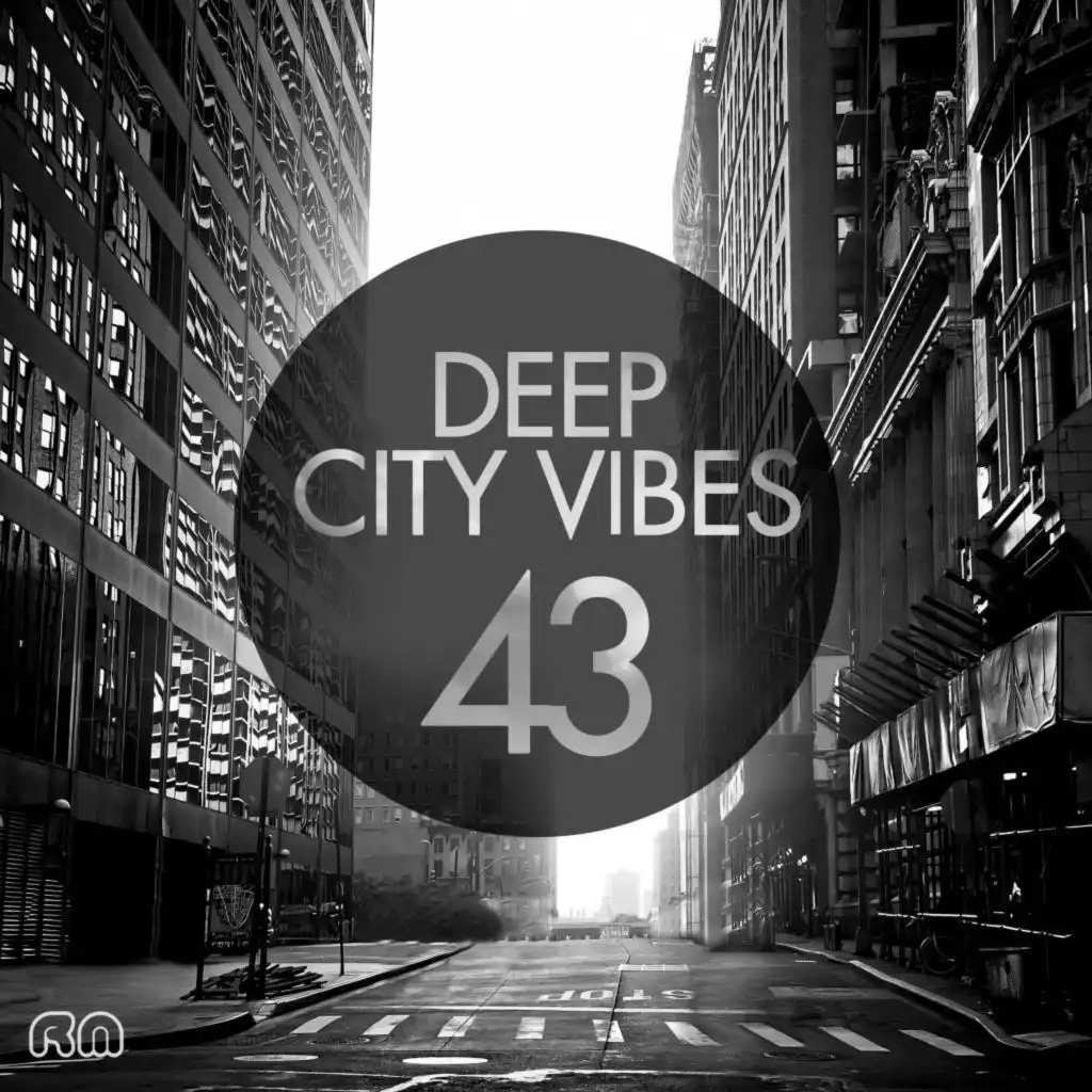 Deep City Vibes, Vol. 43