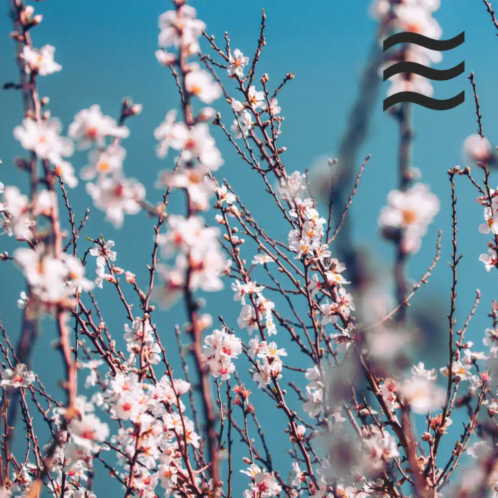 Musica Para Dormir Bebes, El hada de las canciones de cuna, Canciones Infantiles Para Niños