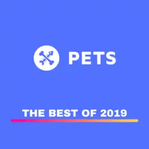 PETS Recordings best of 2019