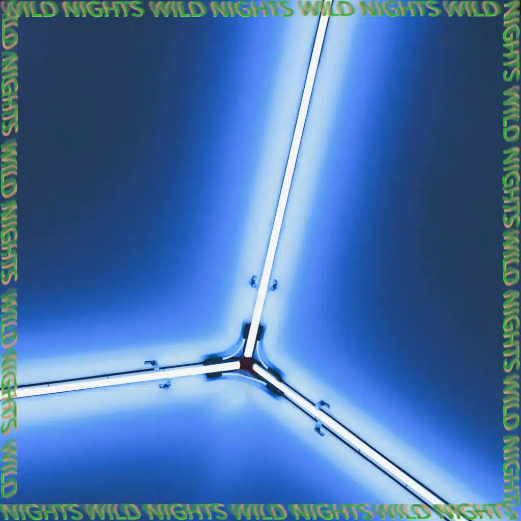 Wild Nights (Amantes Remix)