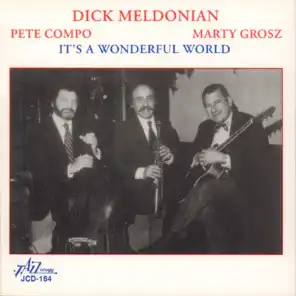 It's a Wonderful World (feat. Pete Compo & Marty Grosz)