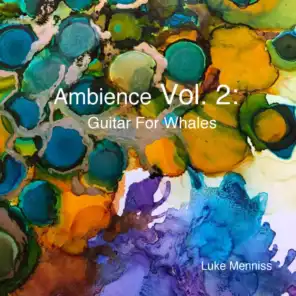 Ambience Vol. 2: Guitar for Whales
