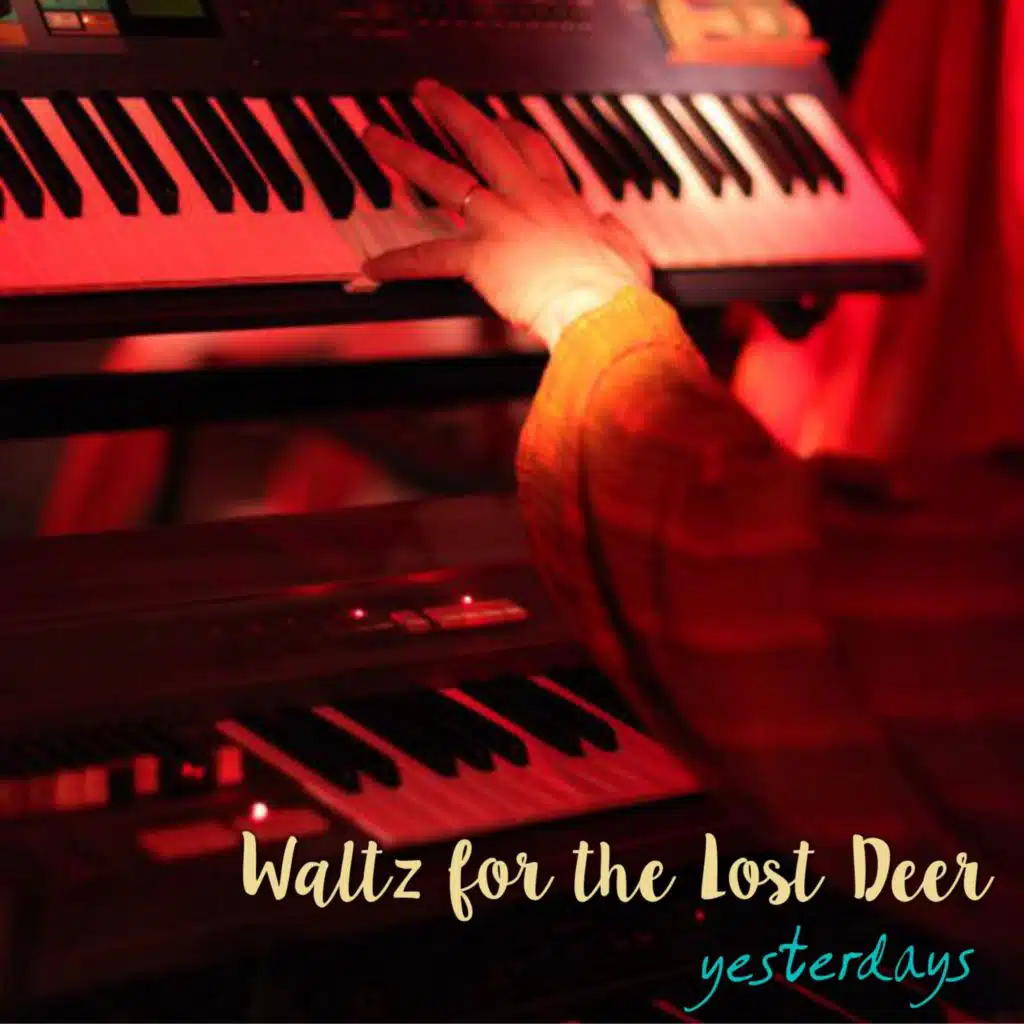 Waltz for the Lost Deer