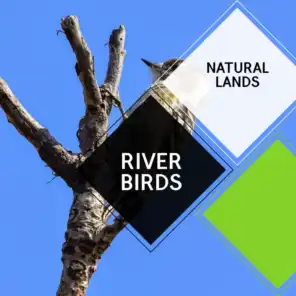 River Birds - Natural Lands