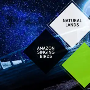 Amazon Singing Birds - Natural Lands