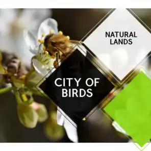 City of Birds - Natural Lands