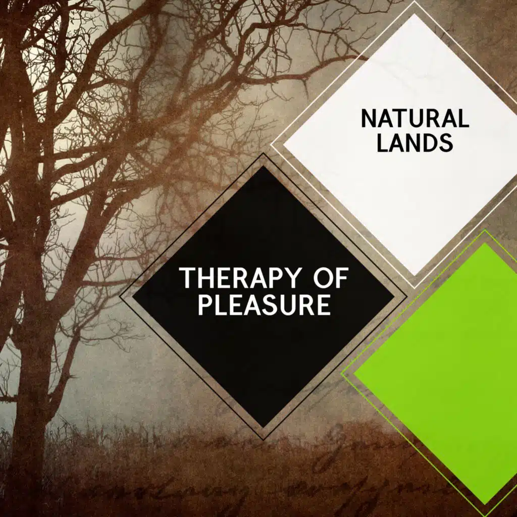 Northern Carolina Wren