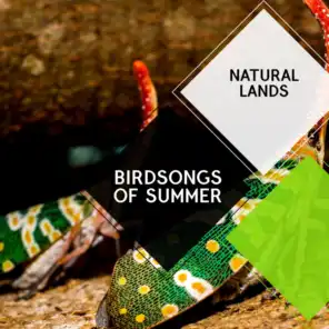 Birdsongs of Summer - Natural Lands