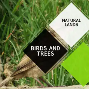 Birds and Trees - Natural Lands