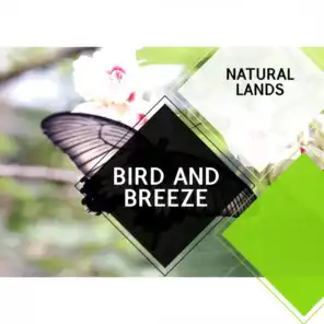 Bird and Breeze - Natural Lands
