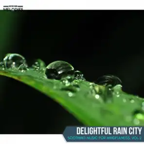 Delightful Rain City - Soothing Music for Mindfulness, Vol.2