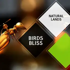 Birds Bliss - Natural Lands
