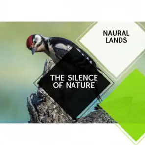 The Silence of Nature - Naural Lands