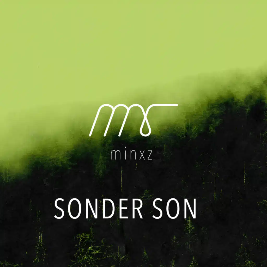Sonder Son