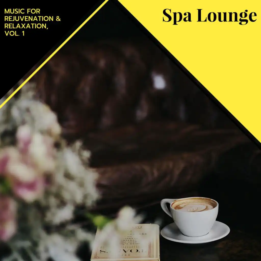 Spa Lounge - Music For Rejuvenation & Relaxation, Vol. 1