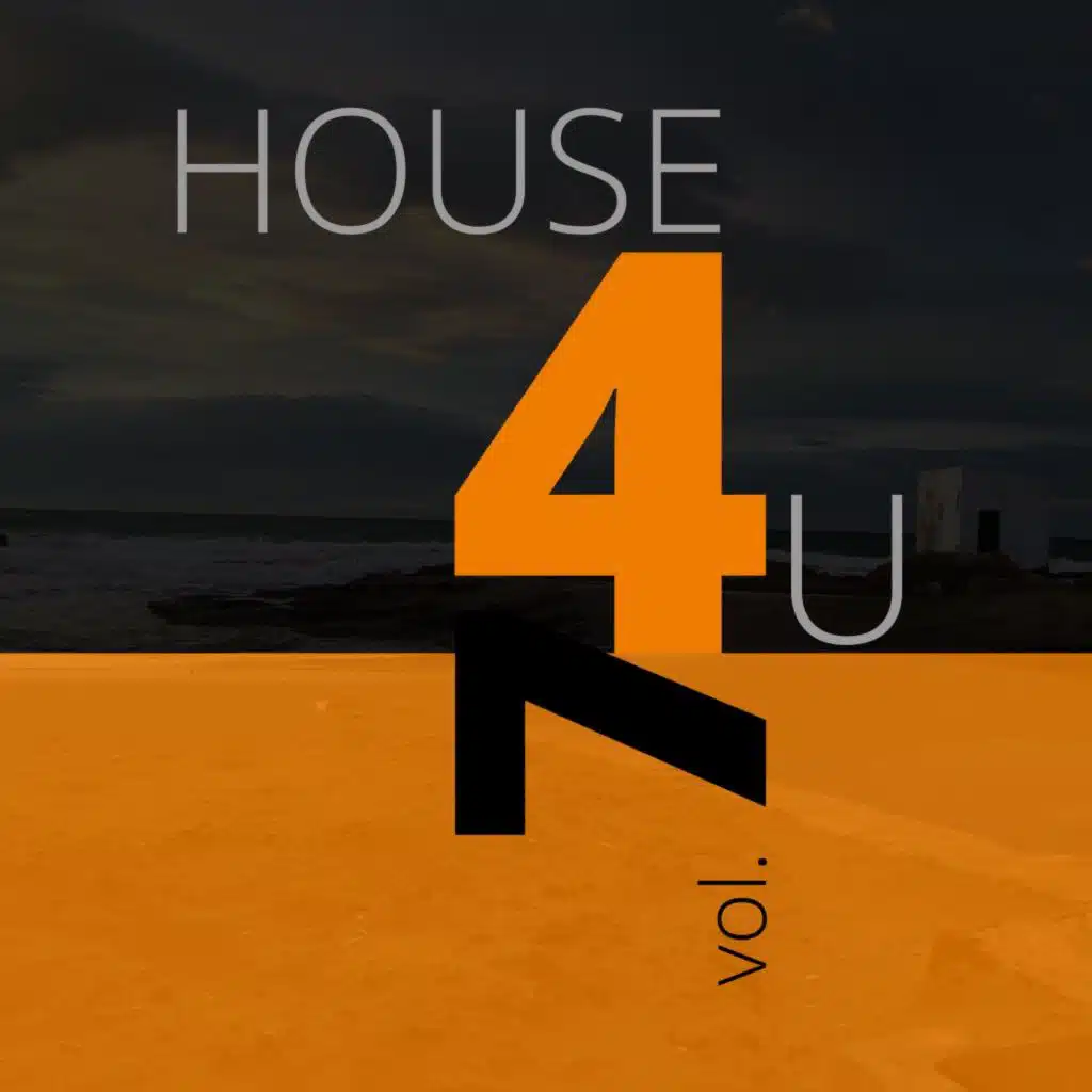 House 4 U, Vol. 7