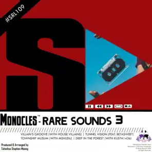Rare Sounds 3