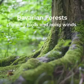 Bavarian Forests (Chirping Birds and Noisy Winds) - Bayrische Wälder [Vogelgezwitscher und Windgeräusche]