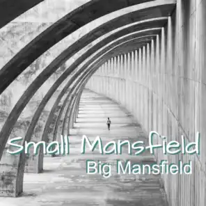 Small Mansfield