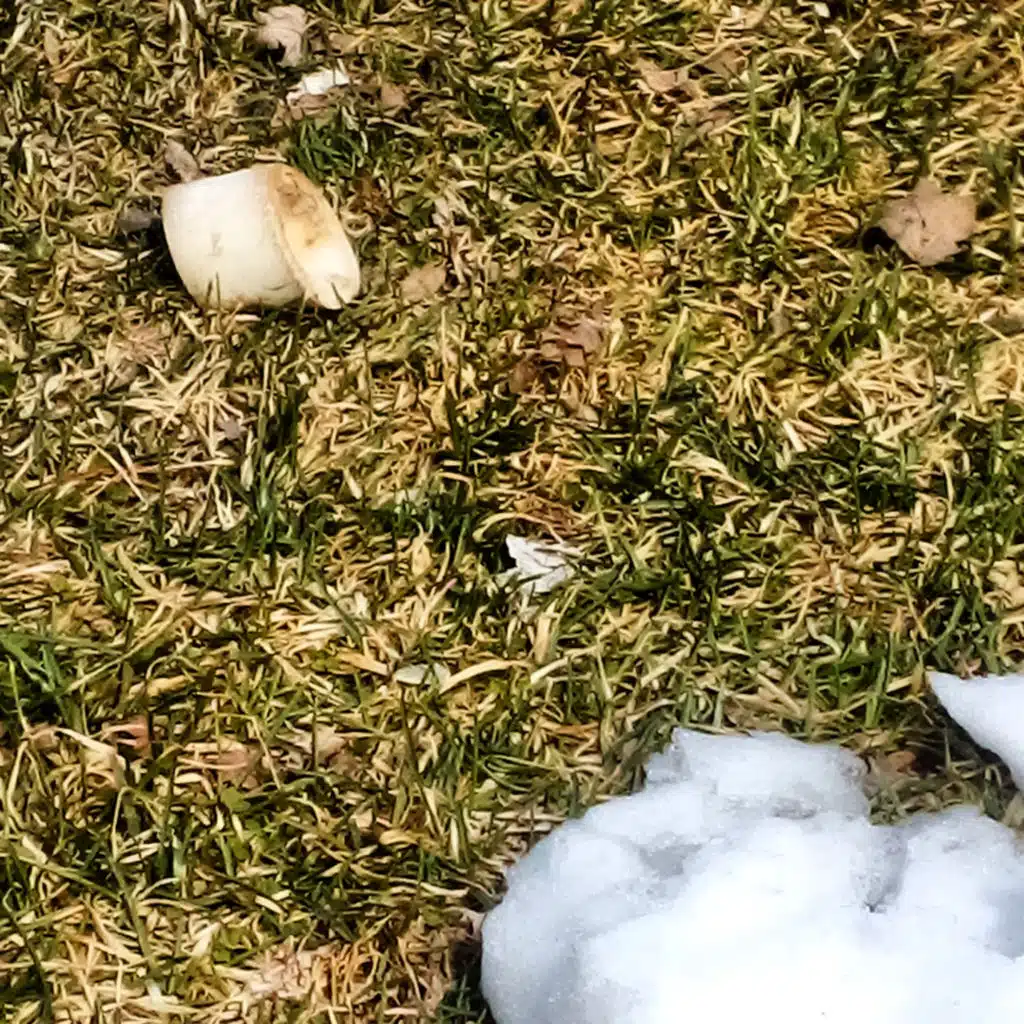 (fast) falling/(slow) crawling