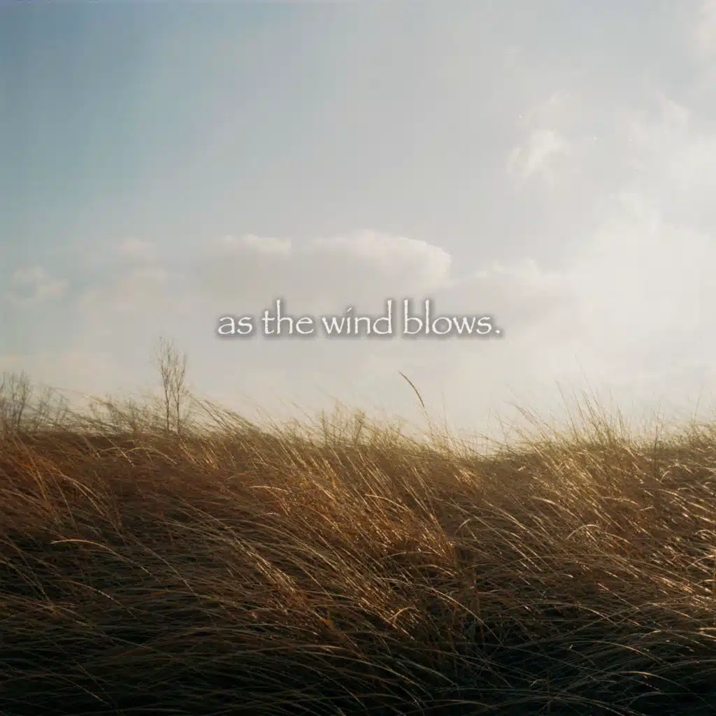 As the Wind Blows