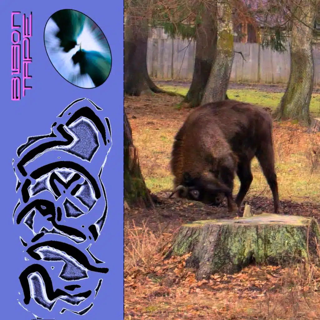 Baltic Dub (feat. aflo) (Dub)