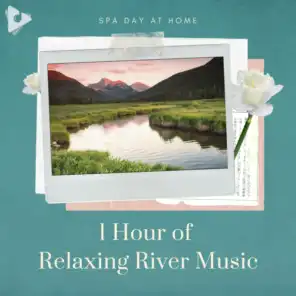 1 Hour of Relaxing River Music