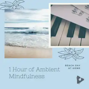 Relaxing Piano with Ocean Sounds to Release Stress